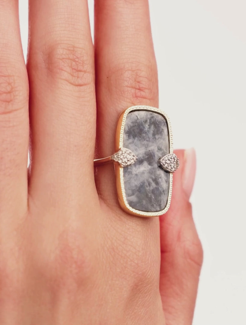 Sangha Ring - Onyx / Moonstone